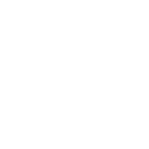 100% vegan
